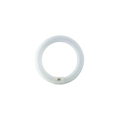 EHL - Philips Master tl-e Circular 22W Sockel G10Q 6500K dimmbar