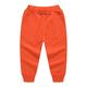 Garçon 3D Couleur Pleine Pantalons Eté Automne Actif basique Coton Enfants 3-10 ans Casual du quotidien Standard