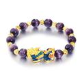 Soug Feng Shui Bracelet Chakra Healing Amethyst Citrine Pi Xiu With Charm New