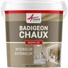 Badigeon à la chaux décoration intérieure extérieur maison badiplus - 20 kg (jusqu'à 100 m²)