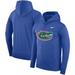 Men's Nike Royal Florida Gators Big & Tall Legend Primary Logo Performance Pullover Hoodie