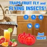 4Pcs Fruit Fly Trap Fruit Fly Killer Red Pumpkin Shape for Home Kitchen Non-Toxic Gnat Killer Fly