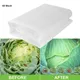 Nylon Mesh Net for Garden Plant Insect Protection Net Plant Flower Fruit Care Cover Network Pest