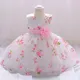 Robe de princesse avec broderie florale pour bébé fille costume de fête d'anniversaire pour