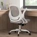 Latitude Run® Rumiko Ergonomic Office Chair Upholstered | 24 W x 20 D in | Wayfair 0B52C59924EE4246ABEF8F53A802F9DE