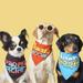 Pet Set Go Red Pack Of 3 Printed Bandanas - Small
