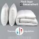 Pack Climarelle® Thermorégulation couette legere + oreiller - 140/200 Dodo Blanc