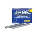 20PK Duo-Fast 5010C Galvanized Wide Crown Staples 5/16 x 1/2