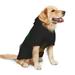 Black History Month 2023 Dog Clothes Hoodie Pet Pullover Sweatshirts Pet Apparel Costume For Medium And Large Dogs Cats Large