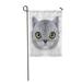 KDAGR Portrait of Domestic Cat Cute Realistic Face Grey Striped Color Garden Flag Decorative Flag House Banner 28x40 inch