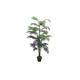 Tradala 5' Lush Artificial Tree Large Palm 150cm / 5ft Tall with Real Wood Trunk - For Home Living Room Indoors