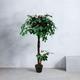 "Tradala 3'11\" Lush Artificial Tree Ficus 120cm / 3ft 11\" Tall with Real Wood Trunk - For Home Living Room Indoors"