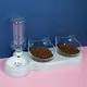 Pet Cat Bowl Automatic Feeder Dog Cat Food Bowl with Water Fountain Double Bowl Drinking Raised