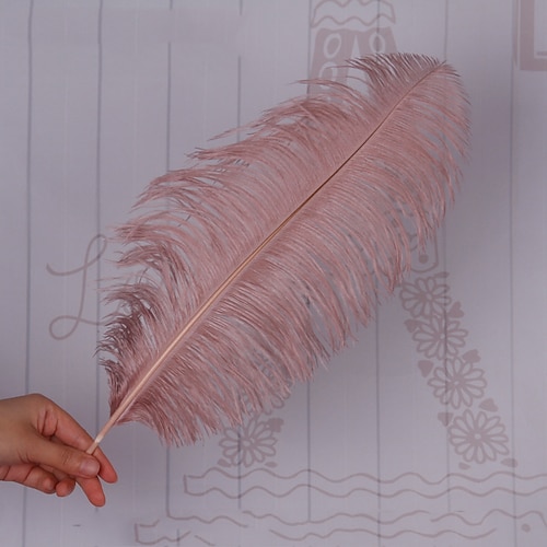 Karneval Hochwertige Straußfeder gefärbte große Straußfeder Tischlampe Wohnungsdekoration Bekleidungsgeschäft Dekorationen Hochzeitsfedern Weihnachtsgeschenk Image