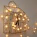 Beppter String Lights Indoor Bedroom String Lights for Outside Furry Ball Led Light String Holiday Decoration Ball Light String