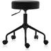 Swivel Rolling Hydraulic Height Adjustable Stool 503 for Clinic Nursing Spas Beauty Salons Dentists Home Office (Standard Black)