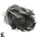 Old Man s Wig Short Curly Chemical Fiber Headgear (jf2098) Gray Grandma Wigs Fluffy Women s Miss