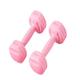 Dumbbel Fitness Dumbbells For Men And Women Home Exercise Dumbbells For Arm Muscle Training Home Fitness Equipment Barbell (Color : Pink, Size : 6kg)