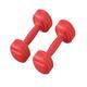 Dumbbel Fitness Dumbbells For Men And Women Home Exercise Dumbbells For Arm Muscle Training Home Fitness Equipment Barbell (Color : Red, Size : 2kg)