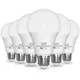 LED Light Bulb A19 9W 60 Watt Equivalent 120V 900LM 6500K Cool White E26 Medium Base Non Dimmable