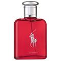 Ralph Lauren Polo Red Eau de Parfum 75 ml