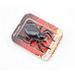 Toy Scary Halloween Decorations Spider Realistic Funny Insect Animated Props Rc for Children Toys