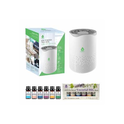 Plus Size Women's Air Purifier With 6-Pack Premium Essential Oils Collection by Roamans in O