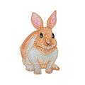 Realistic Bunny Rabbit - Cream/Fawn Color - Iron on Applique Patch/ Embroidered Patch