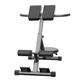 Roman Chair Back Extension Machine Bench Flat Bench Adjustable Back Extension Bench For Home Gym Loads 264lbs