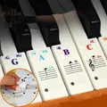 49/54/61/88 Color Transparent Piano Keyboard Stickers Electronic Keyboard Key Piano Stave Note