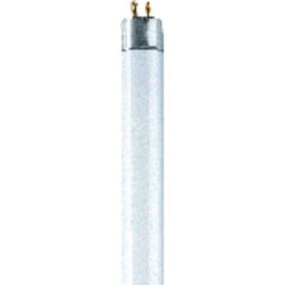 Osram - Leuchtstoffröhre eek: g (a - g) G13 18 w Neutralweiß 840 Röhrenform (ø x l) 26 mm x 604 mm 1