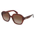 Rag & Bone RNB1063/S Damen-Sonnenbrille Vollrand Butterfly Acetat-Gestell, braun