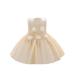 Toddler Girlâ€™s Dress Sleeveless Crew Neck Flower Beaded A-line Dress Patchwork Princess Dress for Party