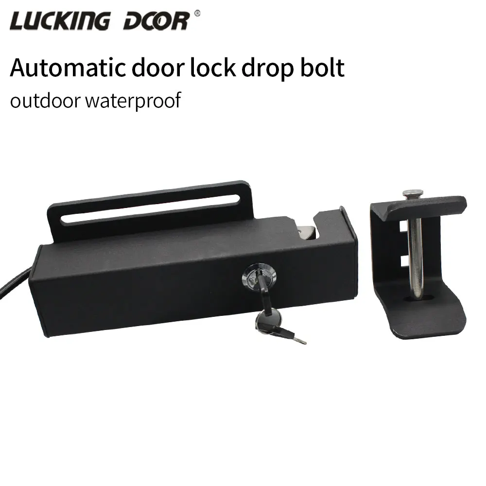 24 V wasserdichtes automatisches Schiebetürriegelschloss für den Außenbereich für elektrische automatische Drehtoröffner, Türzugangskontrollsystem Image