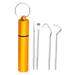 Blekii Clearance Tooth Care Tooth Cleaning 4Pcs Stainless Steel Tooth Hygiene Kit Tooth Tooth Scraper Probe Tweezers Tool Dental Floss Gold 8.8*1.7*1.7Cm