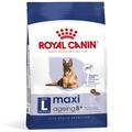 Lot Royal Canin Size grand format x 2 pour chien - Maxi Ageing 8+ (2 x 15 kg)