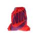 Nike Backpack: Purple Accessories