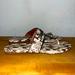 Coach Shoes | Coach ‘Jaclyn’ Women’s Casual Sandals Python Print Fg3816 Sz 6 | Color: Brown/Cream | Size: 6