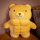 30cm Cute Muscle Bear Plush Toys Kawaii Brown Bear Plushies Dolls Teddy Bear Stuffed Animals Pillow