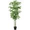 vidaXL Albero Bambù Artificiale 240 Foglie 80 cm Verde