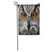 KDAGR Orange Barn Owls Portrait Eyes Yellow Close Flying Beak Garden Flag Decorative Flag House Banner 12x18 inch