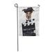 LADDKE Video Movie Clapper Board Director Dog Funny Pet Garden Flag Decorative Flag House Banner 12x18 inch