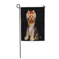 KDAGR Brown Dog Yorkshire Terrier The Red Yorkie Adorable Adore Garden Flag Decorative Flag House Banner 12x18 inch