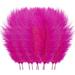 Beppter 10 Feathers 10 Pcs Multicolor Plumage for Wedding Party Centerpieces Flower Arrangement Home Decoration Diy Big Floating Plume Hair Craft Decoration Wedding Plumage