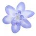 10Pcs Artificial Flowers Fake Orchid Flower Head Simulated Floral for Wedding Bridal Wreath Decoration (6 Colors) [Blue]