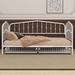 August Grove® Bukurosh Metal Slat Storage Bed Metal in White | 38.6 H x 41.3 W x 78 D in | Wayfair A5FB4D13EE8D4FD7BCD40BCFE0E7B286