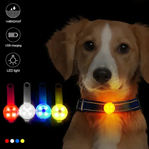 Hund Anti-Verlust-Halsbänder führte wasserdichte Sicherheit Blinklicht USB wiederauf ladbare Nacht