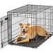 Tucker Murphy Pet™ Large Dog Crate | Life Stages Folding Metal Dog Crate | Divider Panel, Floor Protecting Feet | 25 H x 23 W x 36 D in | Wayfair
