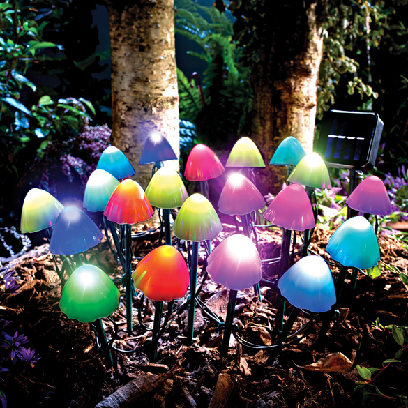 Solarstecker Lichterkette Pilze mit Farbwechsel Gainsborough Image