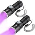 DARKBEAM Blacklight Flashlights USB Rechargeable Portable 395nm Led Flashlight Mini Handheld Torch Black Light Detector for Dog Urine Pet Stains (395 UV USB Flashlight 2pack)